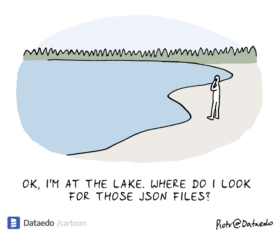 Dataedo - cartoon - at-the-lake