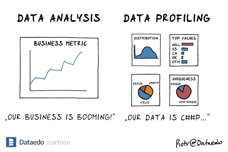 Dataedo - cartoon - data-analysis-vs-data-profiling