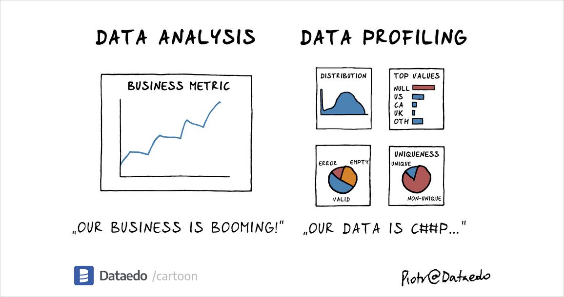 Data Analysis vs Data Profiling – Dataedo Data Cartoon
