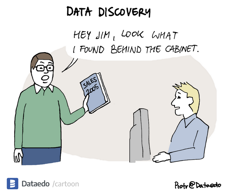 Dataedo - cartoon - data-discovery