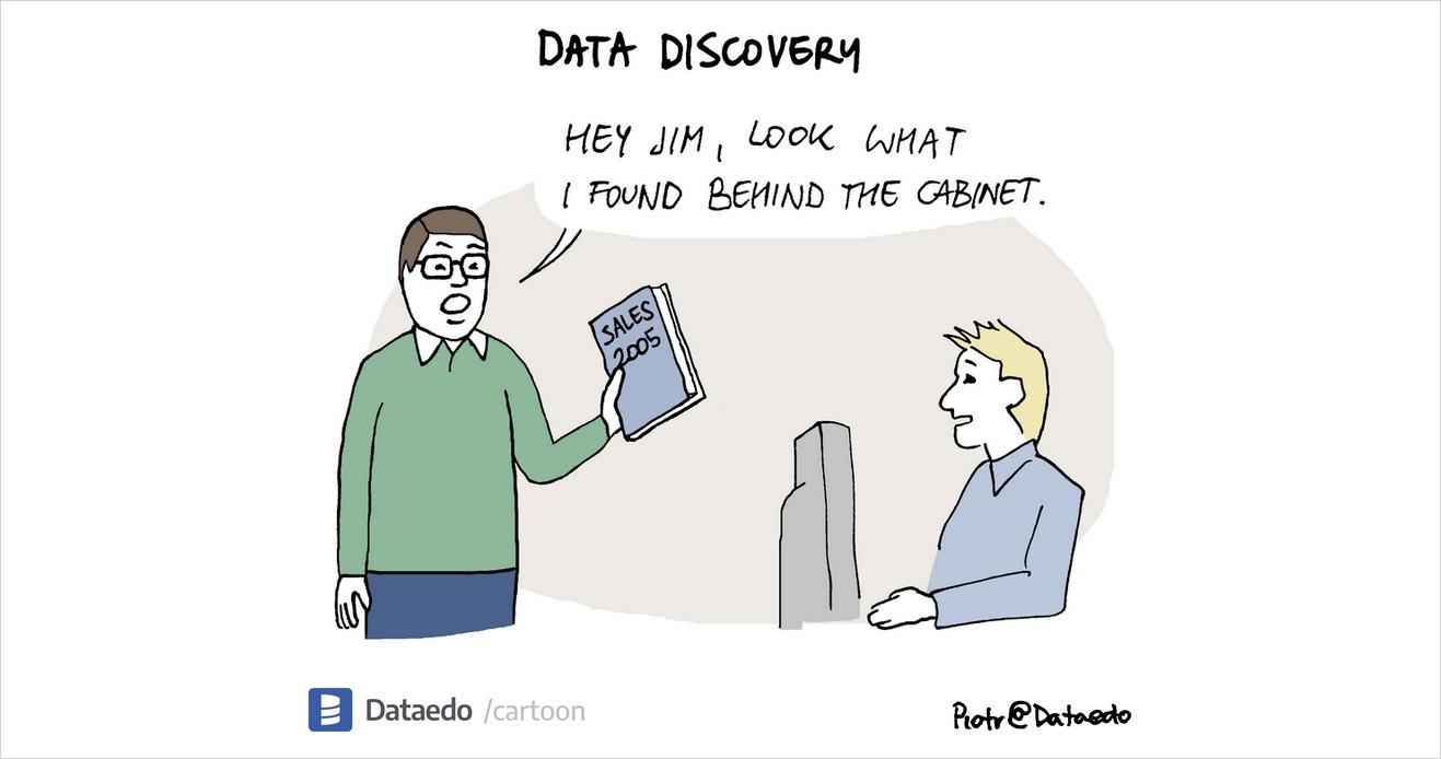 Data Discovery Visualized – Dataedo Data Cartoon