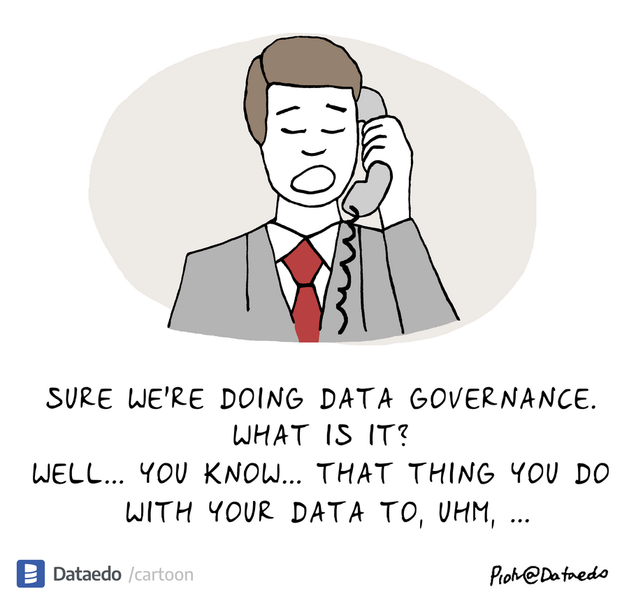 Dataedo - cartoon - what-is-data-governance