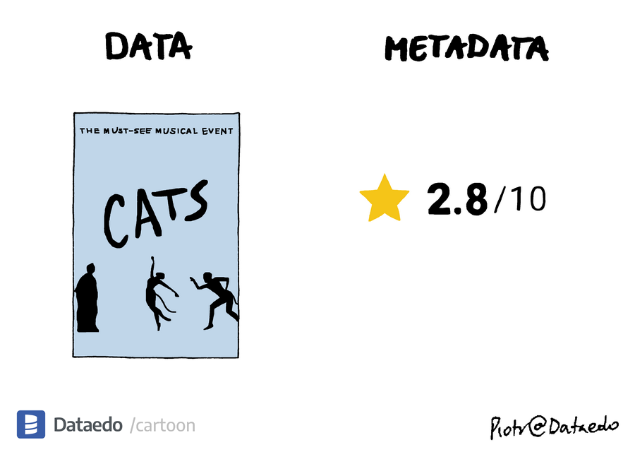 Dataedo - cartoon - data-vs-metadata-13