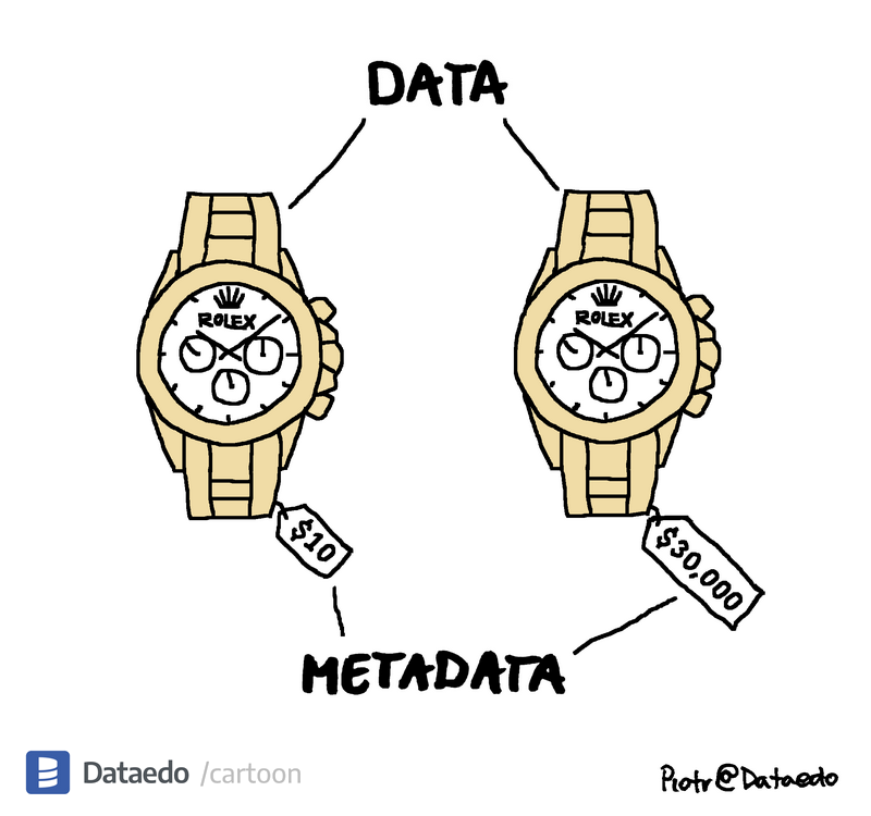 Dataedo - cartoon - data-vs-metadata-7