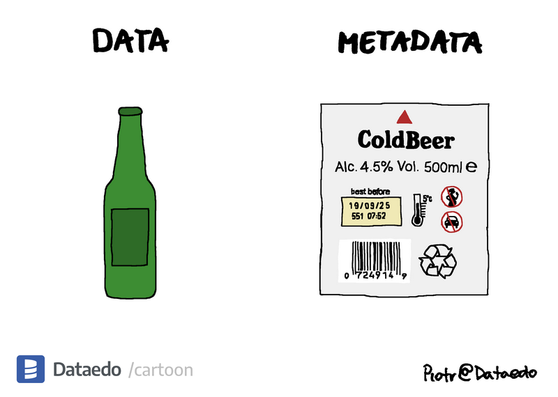 Dataedo - cartoon - data-vs-metadata-8