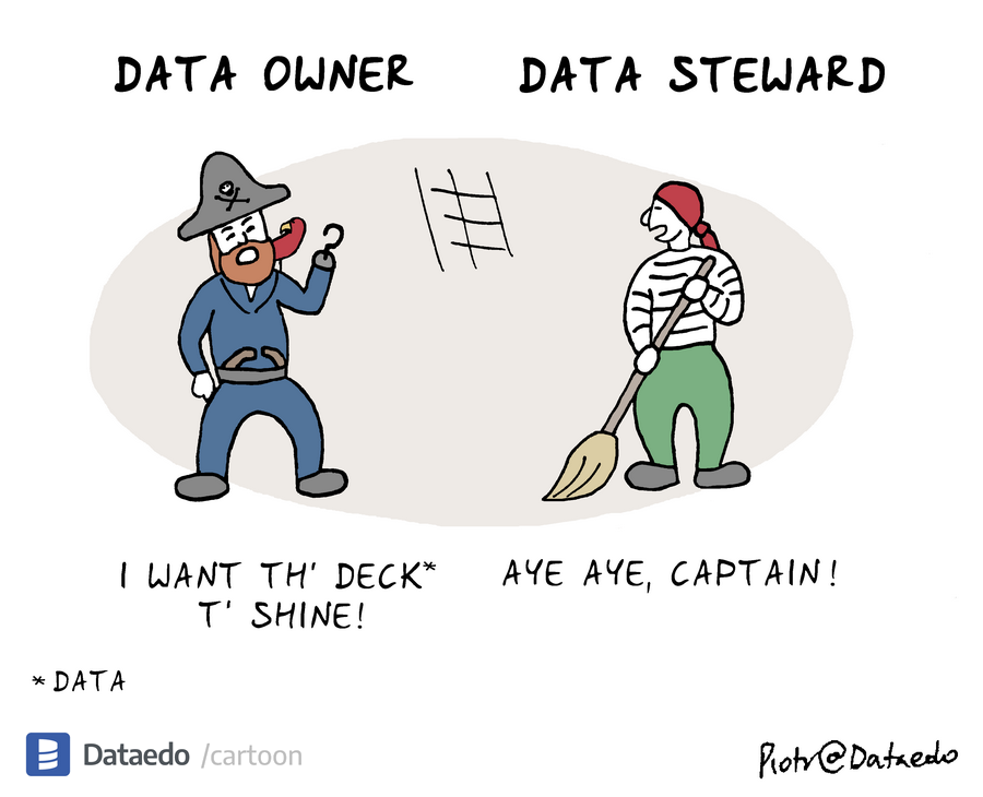 Dataedo - cartoon - data-owner-data-steward