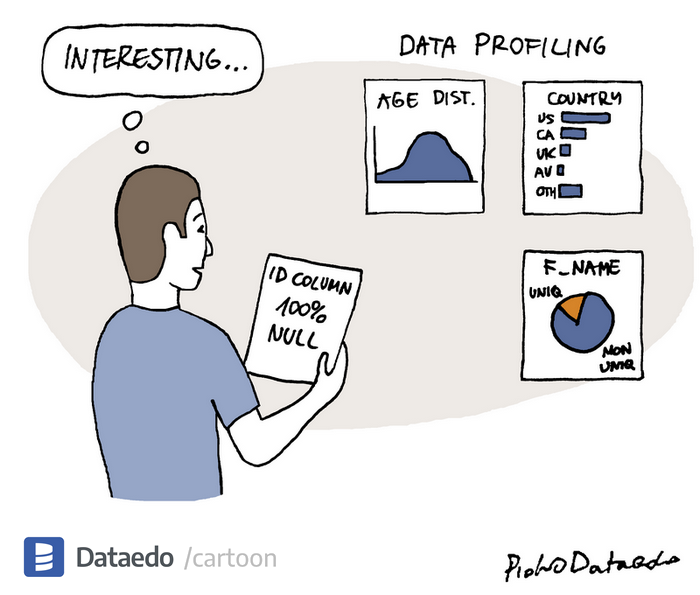 Dataedo - cartoon - data-profiling