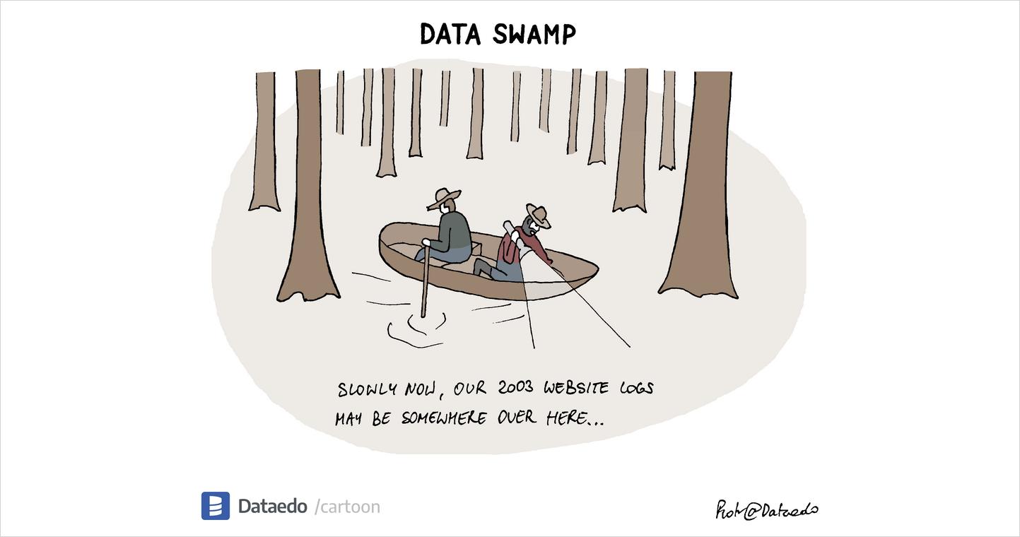 Data Swamp – Dataedo Data Cartoon