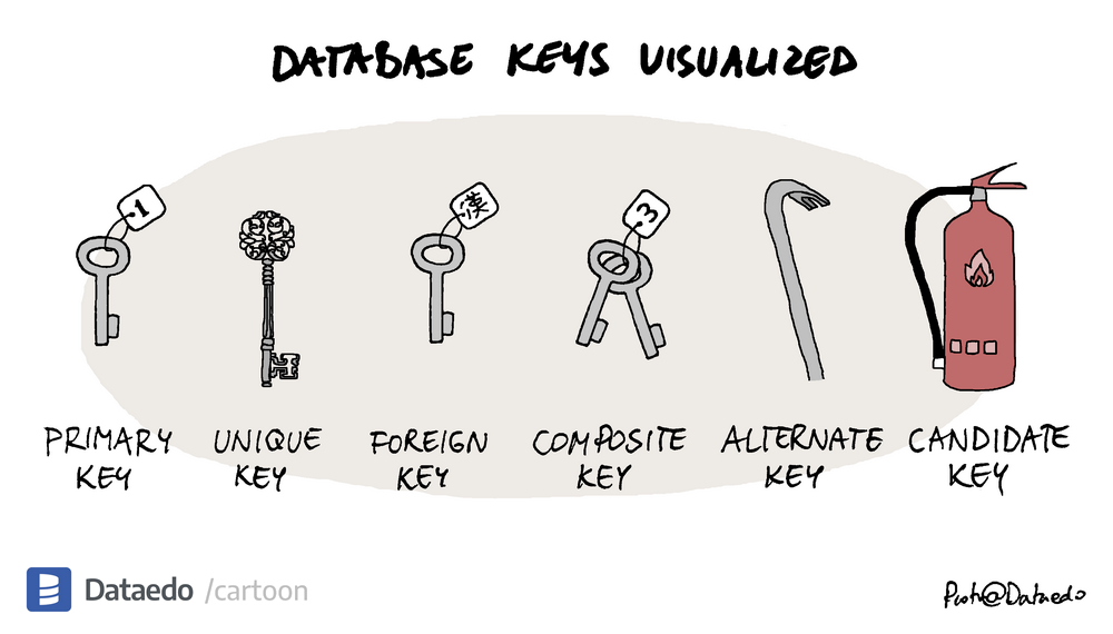 Dataedo - cartoon - database-keys