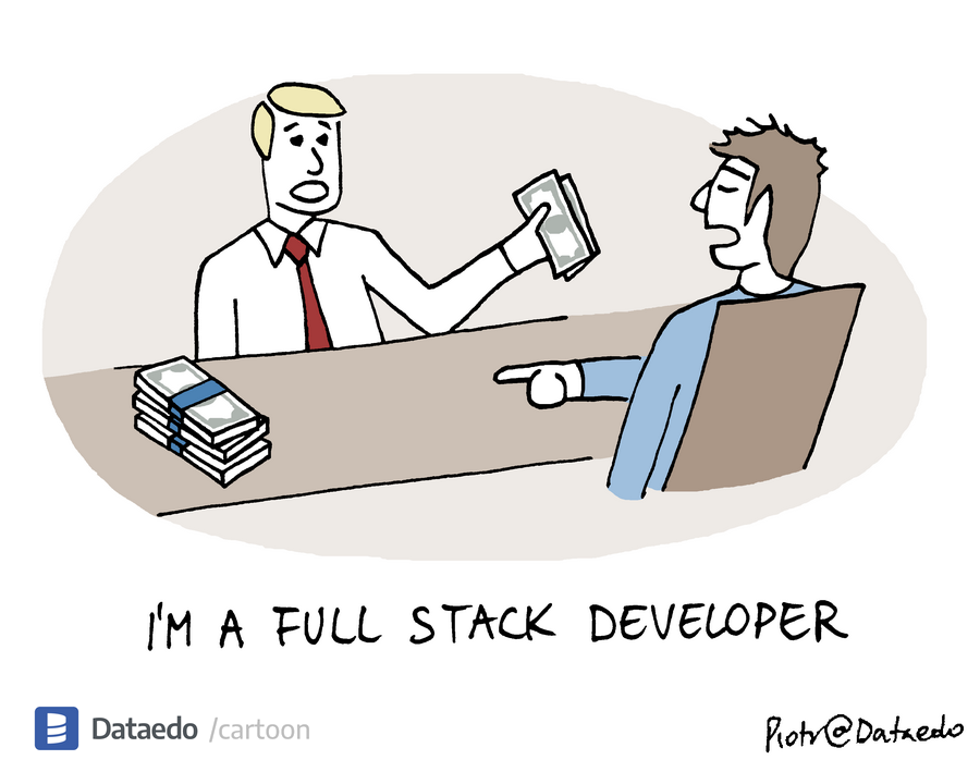 Dataedo - cartoon - full-stack-developer
