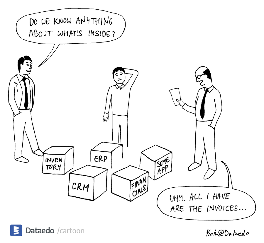 Dataedo Data Cartoon