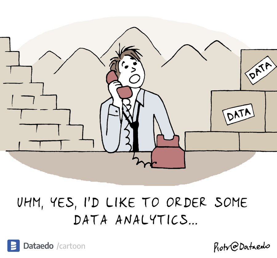 Dataedo - cartoon - need-analytics