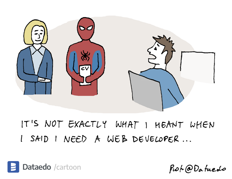 Dataedo - cartoon - web-developer
