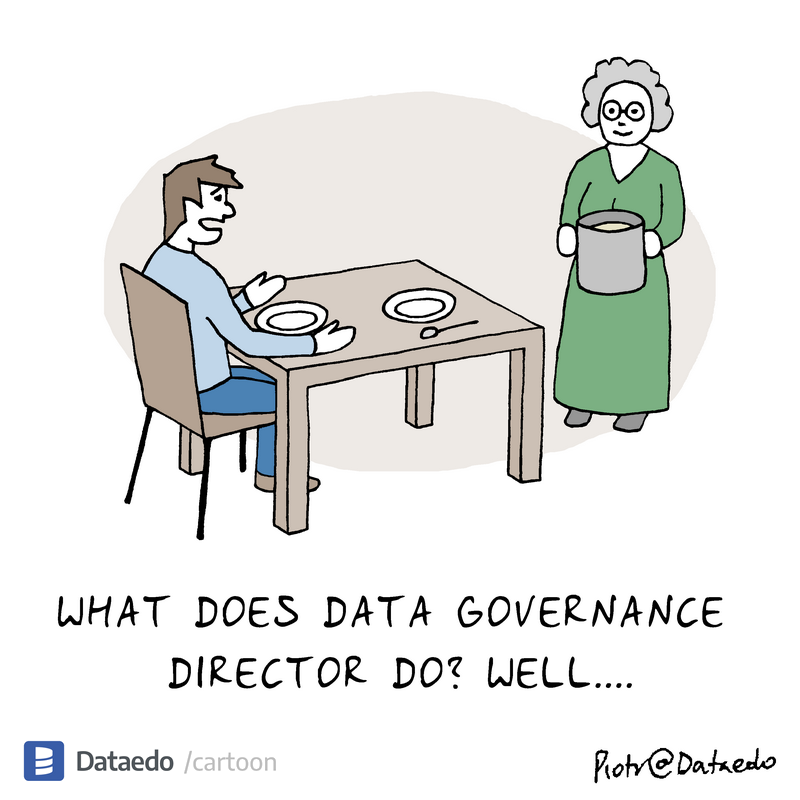 Dataedo - cartoon - what-does-data-governance-director-do