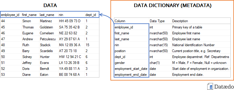 Metadata Management